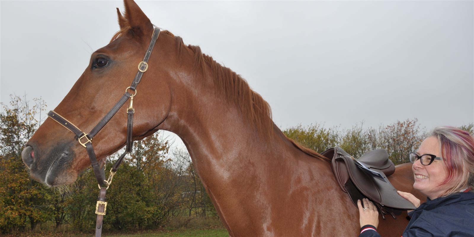 Berit tilpasser sadel til hest – Master Saddle Fitter ved Sadler.dk