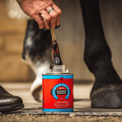 Carr & Day & Martin Daily Hoof Dressing 500 ml