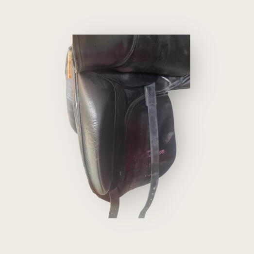 Demo KenTaur Young Dressage 16"