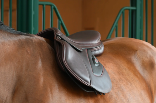 Erreplus GTS WR Springsadel