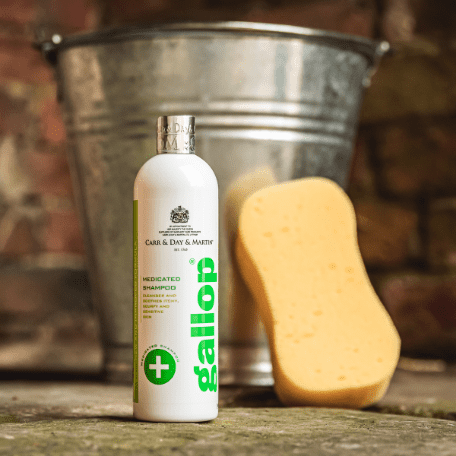 Carr & Day & Martin Gallop Medicated shampoo 500 ml