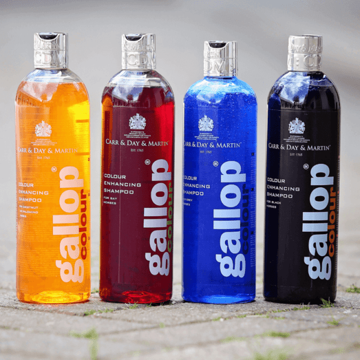 Carr & Day & Martin Gallop Colour shampoo – SORT 500 ml