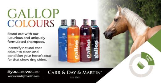 Carr & Day & Martin Gallop Colour shampoo – SORT 500 ml