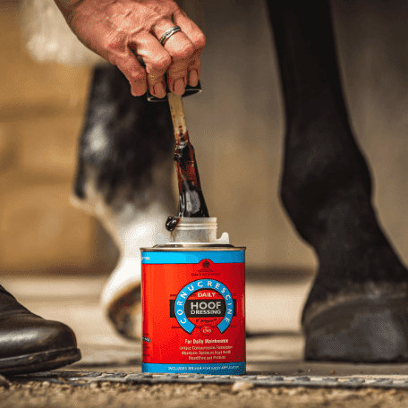 Carr & Day & Martin Daily Hoof Dressing 500 ml