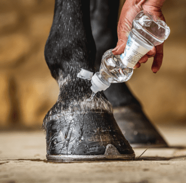 Carr & Day & Martin Daily Hoof Barrier 500 ml