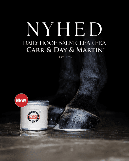 Carr & Day & Martin Daily Hoof Balm CLEAR – natur 500 ml
