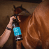 Carr & Day & Martin Coat Shine glansspray 500 ml