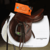 Carr & Day & Martin Belvoir Tack Cleaner Mitt (10 stk)