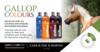Carr & Day & Martin Gallop Colour shampoo – SORT 500 ml