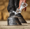 Carr & Day & Martin Daily Hoof Barrier 500 ml